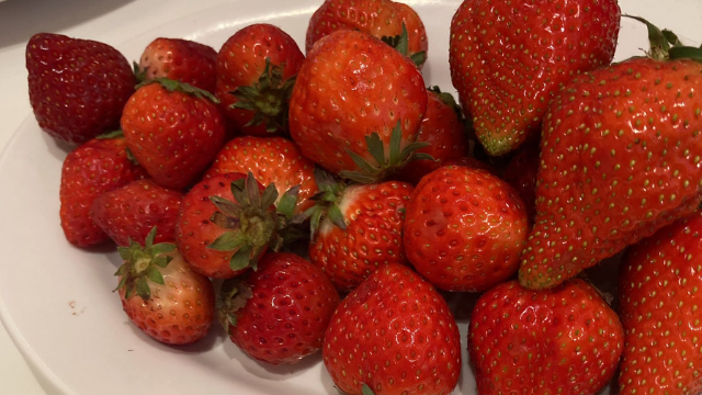 スイーツパラダイスの いちごフェア で国産ブランド苺食べ放題 21 京都にゃろぐ